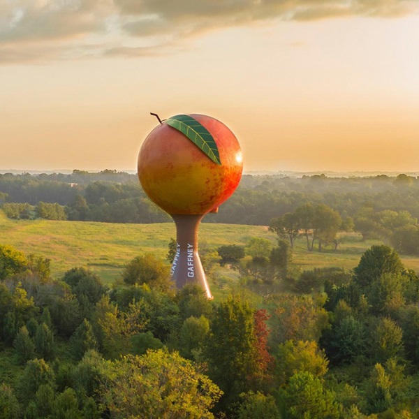 Gaffney Visitors Center & Art Gallery   - Webpage Image