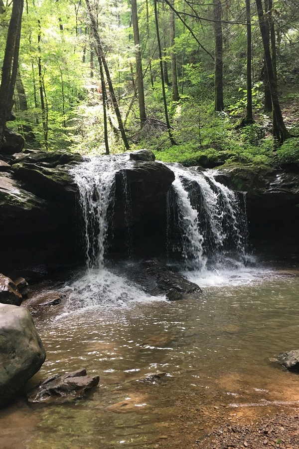 Visit Morgan County Tennessee  - Display Image