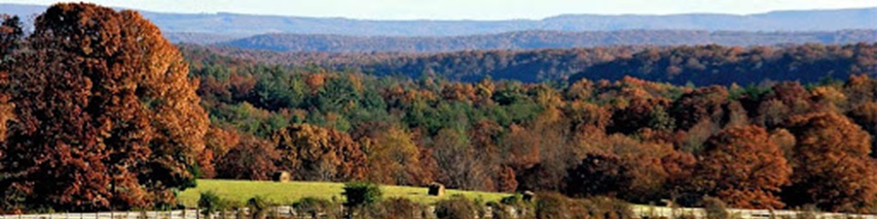 Visit Morgan County Tennessee  - Header Image