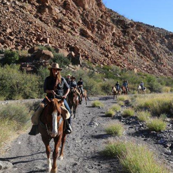 One of the main attractions at Lajitas Stables is its guided trail rides through the desert wilderness with experienced guides providing insights into the area's history, geology, and ecology along the way.  