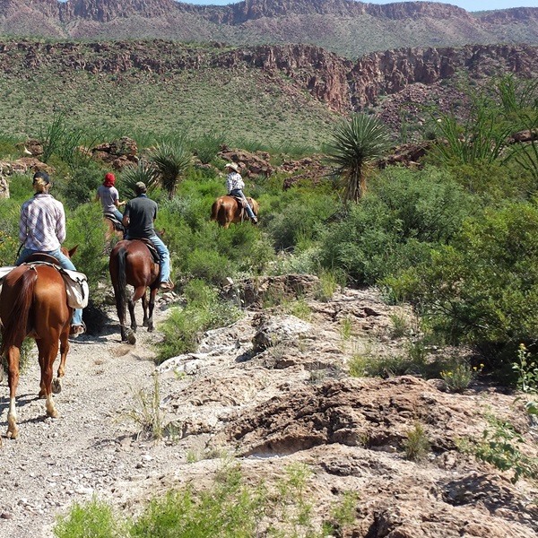 Lajitas Stables  - Webpage Image