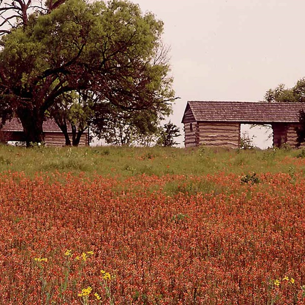 The Lyndon B. Johnson National Historical Park features a working ranch operation, reflecting Johnson’s agricultural roots and providing a look at ranch life in Texas. 
