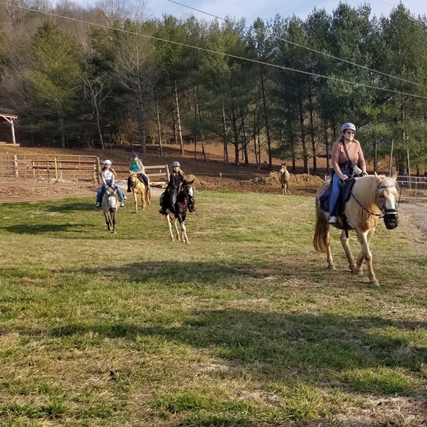 Lake Meadow Farm and Stables offer family-friendly activities and experiences for visitors of all ages for hands-on experiences with the animals. 