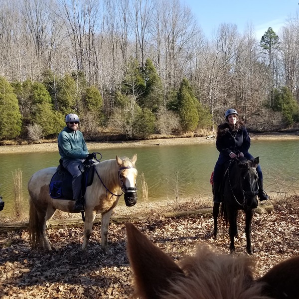  Lake Meadow Farm and Stables is nestled in the rolling hills and lush countryside of Middle Tennessee, providing visitors with picturesque views of the surrounding landscape. 