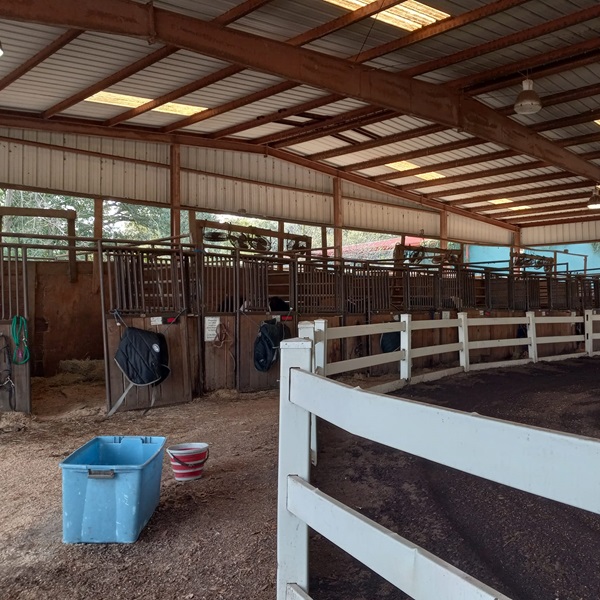 Visitors to Lake Meadow Farm and Stables can take guided tours that provide insight into the daily life of a working farm. 