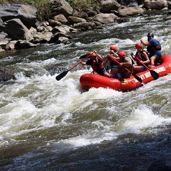 As paddlers navigate through the river's twists and turns, they can enjoy panoramic vistas of the Smokies' rugged terrain, including towering cliffs, lush forests, and cascading waterfalls. 