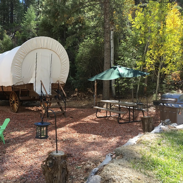 The resort offers a unique glamping experience with authentic covered wagons as accommodation. 