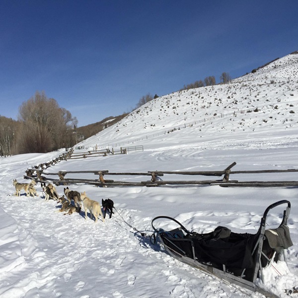 Oakley is a gateway to the Uinta-Wasatch-Cache National Forest, where visitors can enjoy hiking, fishing, and winter activities, such as snowmobiling and dog sledding. 