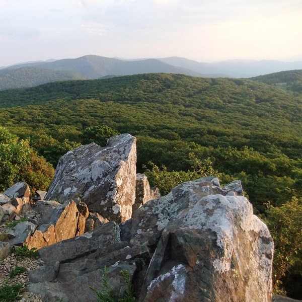 Skyland Stables is located in Shenandoah National Park, a protected area known for its stunning mountain scenery, lush forests, and diverse wildlife. 