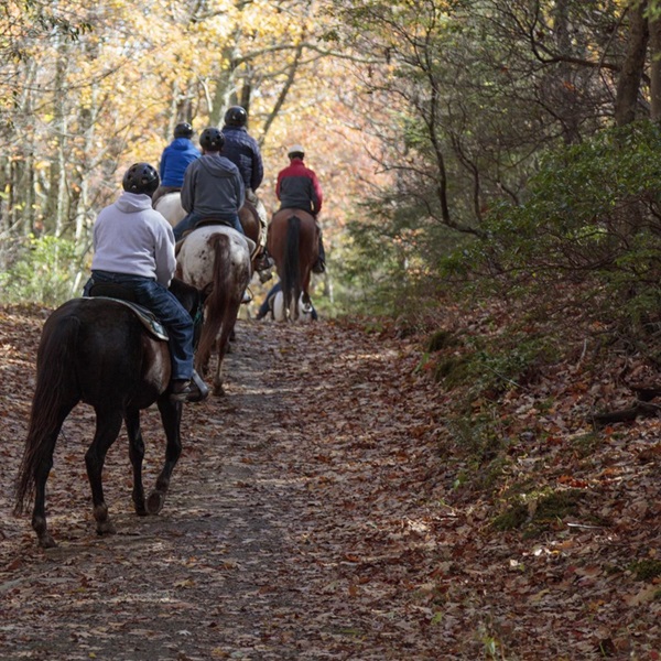 Skyland Stables offers guided trail rides through the picturesque countryside of Shenandoah National Park. 