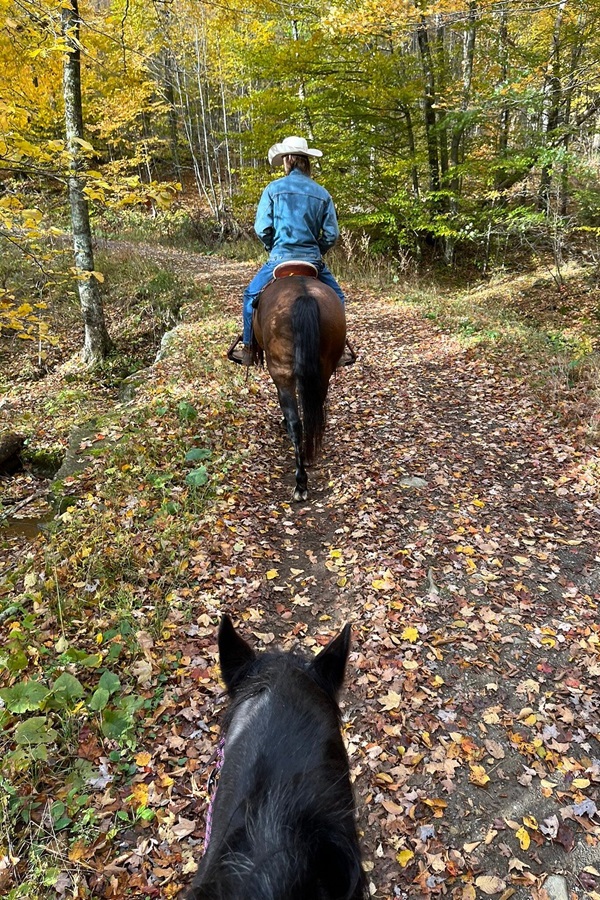 Skyland Stables  - Display Image