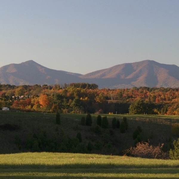  Peaks of Otter is a scenic area located in the Blue Ridge Mountains, offering hiking trails, a beautiful lake, and opportunities for wildlife observation. 