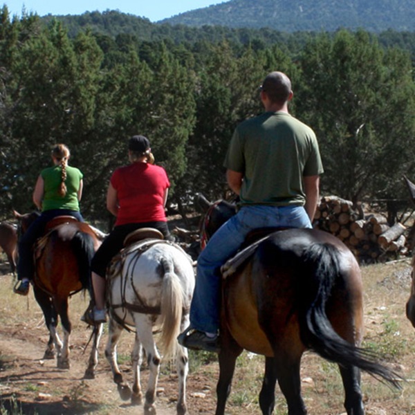 Zion Ponderosa offers guided horseback riding tours along scenic trails that wind through the rugged terrain of southern Utah. 