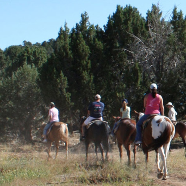 Riders can traverse diverse landscapes, including desert canyons, pine forests, and red rock formations. 