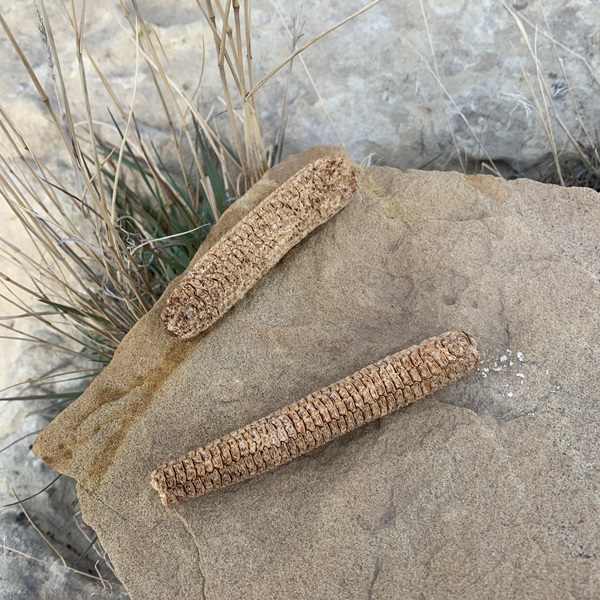  Visitors can explore the legacy of the Fremont and Ute Native American tribes who have inhabited the area for at least 10,000 years. 