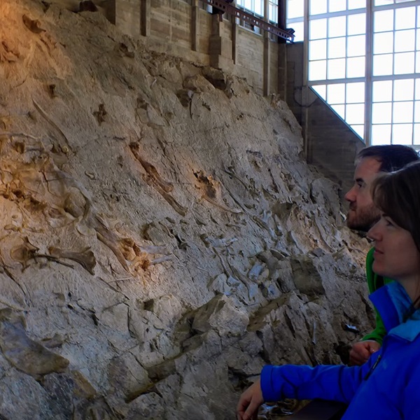 The quarry features a unique exhibit wall where visitors can see over 1,500 dinosaur bones embedded in rock. 