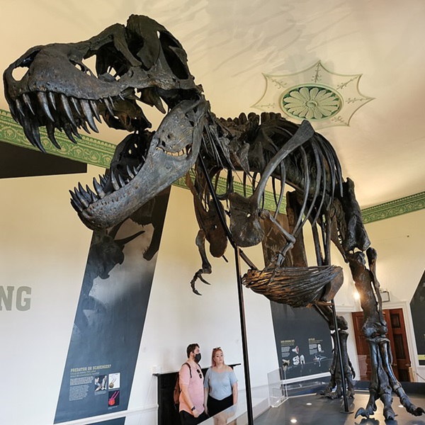 Dinosaur National Monument  - Webpage Image